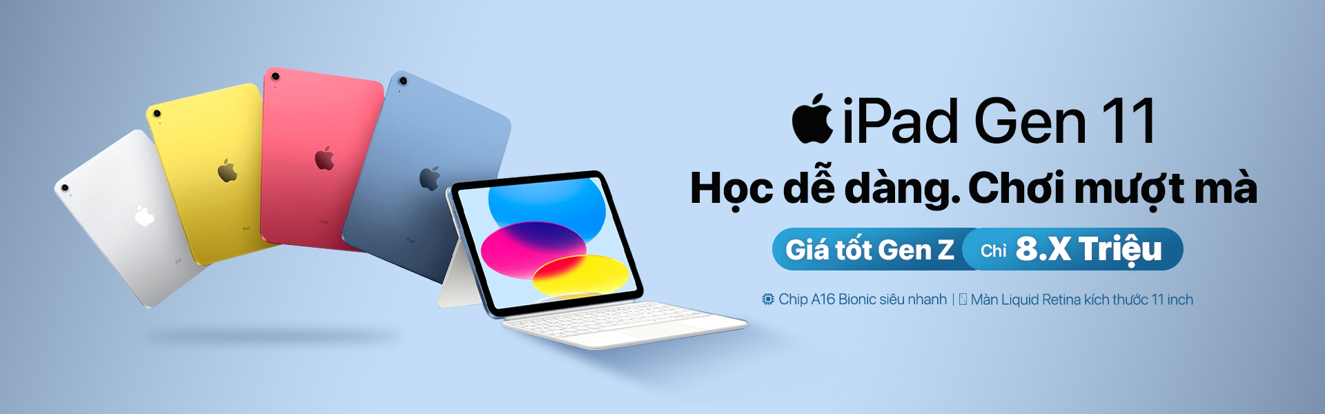 iPad